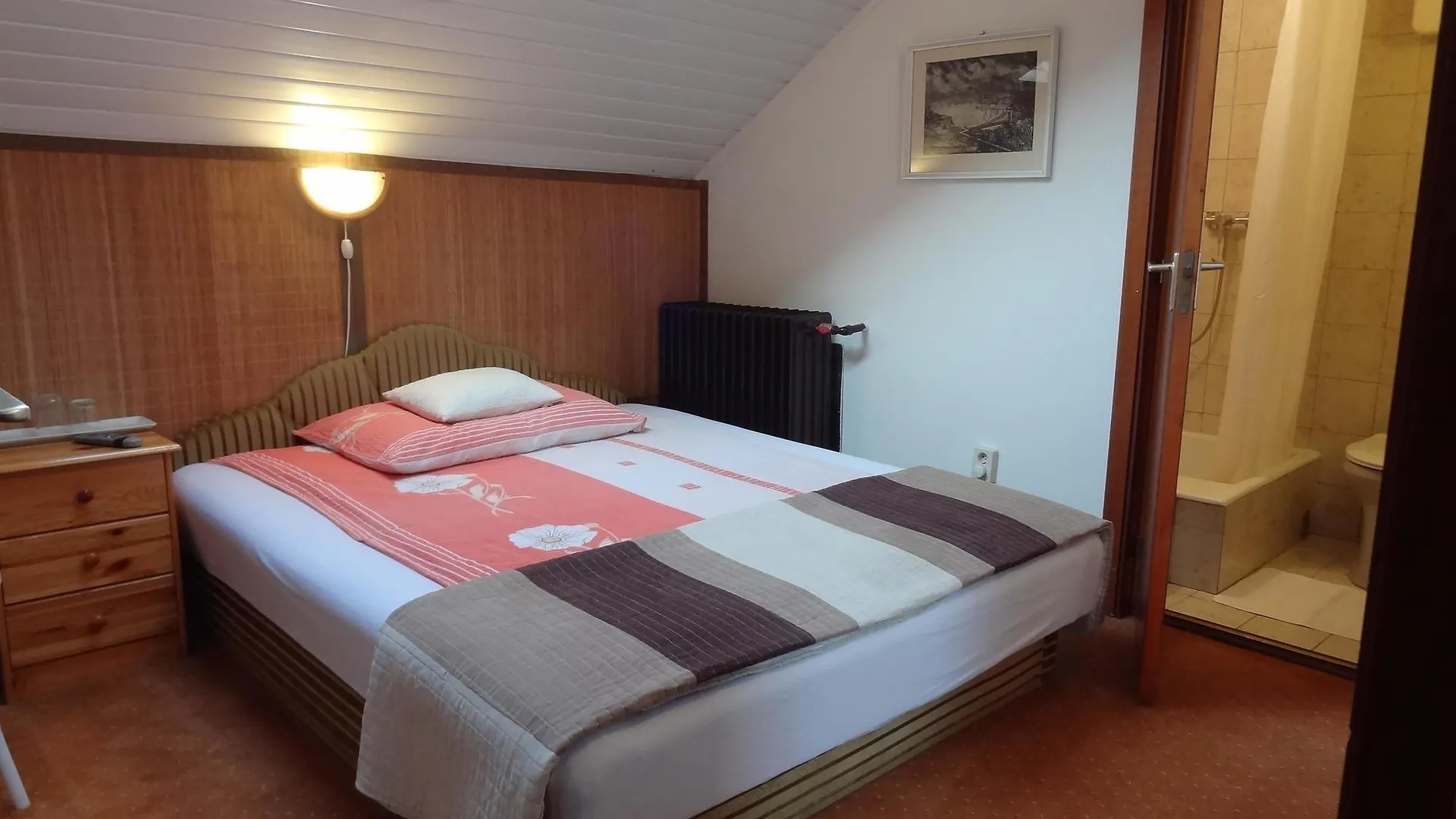 Bai Panzio Hotel Budapest Hungary